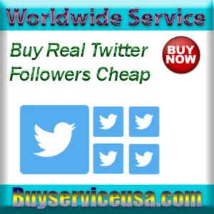 Buy Real Twitter Followers Cheap
