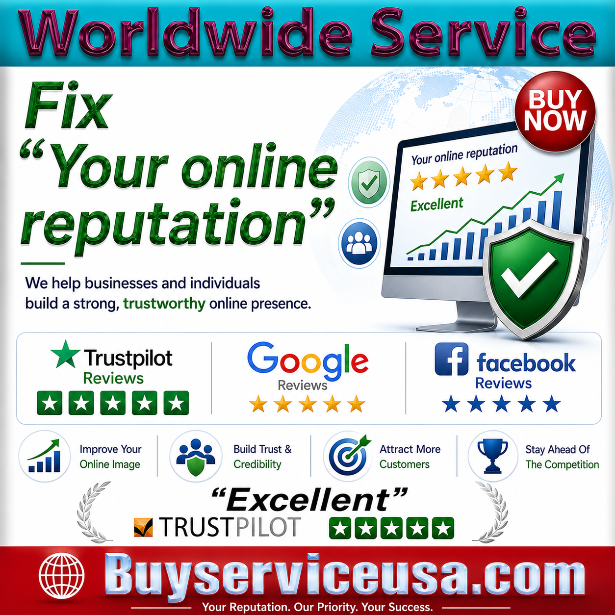 Professional Online Reputation Management Services